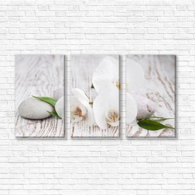 модульные картины Цветы белой орхидеи