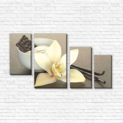 модульные картины Ванильная орхидея