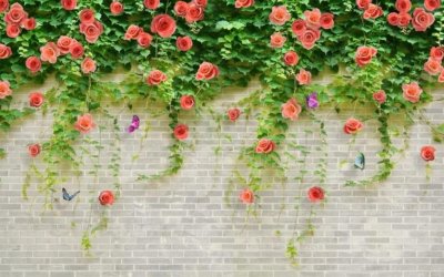 фотообои Стена с розами