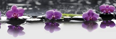 фотообои Отражения орхидей